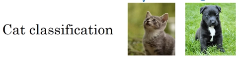 Cat classification example showing two images labeled Cat with a kitten and black puppy. Below them is a table showing Training Error of 1% and Dev set error of 11%, illustrating high variance where the model fits training data well but fails to generalize to new data.