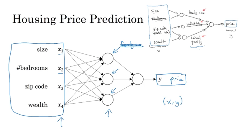 Neural network architecture diagram illustrating densely connected layers