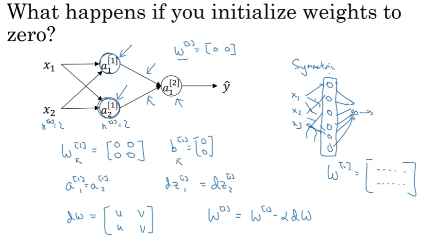 Neural network diagram showing what happens when weights are initialized to zero. At top: question "What happens if you initialize weights to zero?". Left side shows a two-layer neural network with two input nodes x1 and x2, two hidden layer nodes a1[1] and a2[1], and one output node a1[2] producing prediction y-hat. All weights W[1] and W[2] are shown as zero matrices in brackets. Annotations indicate h[1]=2 and h[2]=1. Below the diagram are mathematical notations: W[1] is a 2x2 zero matrix, b[1] is a 2x1 zero vector, showing that a1[1] equals a2[1], notation dW with matrix of u and v values, and the gradient descent update rule W[1] = W[1] - alpha*dW. Right side shows a "Symmetric" diagram where inputs x1, x2, x3 connect to a column of zeros representing hidden units with all connections having zero weights, demonstrating that all hidden units remain identical and W[1] remains a matrix of all zeros even after updates.