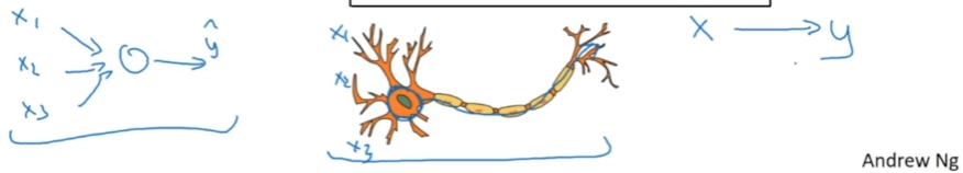 Diagram showing a detailed biological neuron with labeled parts**: Central cell body (soma) in orange with visible nucleus, multiple branching dendrites extending outward to receive signals, and a long axon extending to the right ending in terminal branches for signal transmission. The neuron is rendered in warm orange and yellow tones against a white background, illustrating the complex tree-like structure of dendrites and the single elongated axon characteristic of biological neurons.